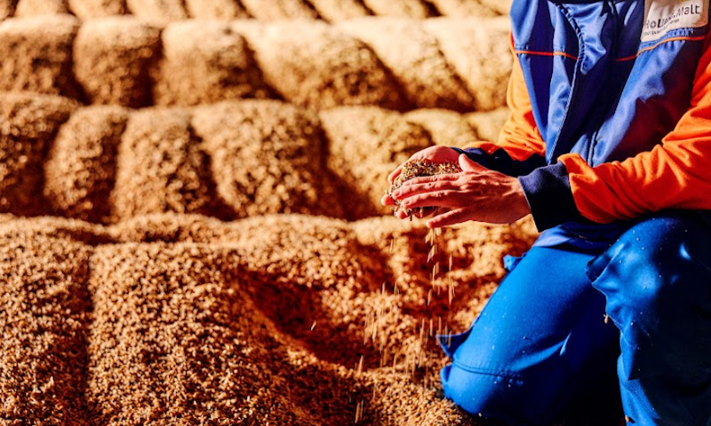 Mout bij Holland Malt